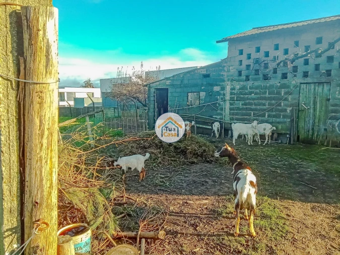 Terreno para Venda em Albergaria-A-Velha e Valmaior Foto 10