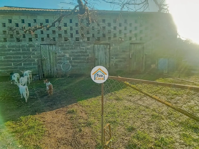 Terreno para Venda em Albergaria-A-Velha e Valmaior Foto 15