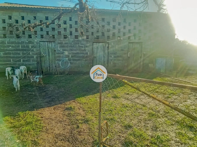 Terreno para Venda em Albergaria-A-Velha e Valmaior Foto 5