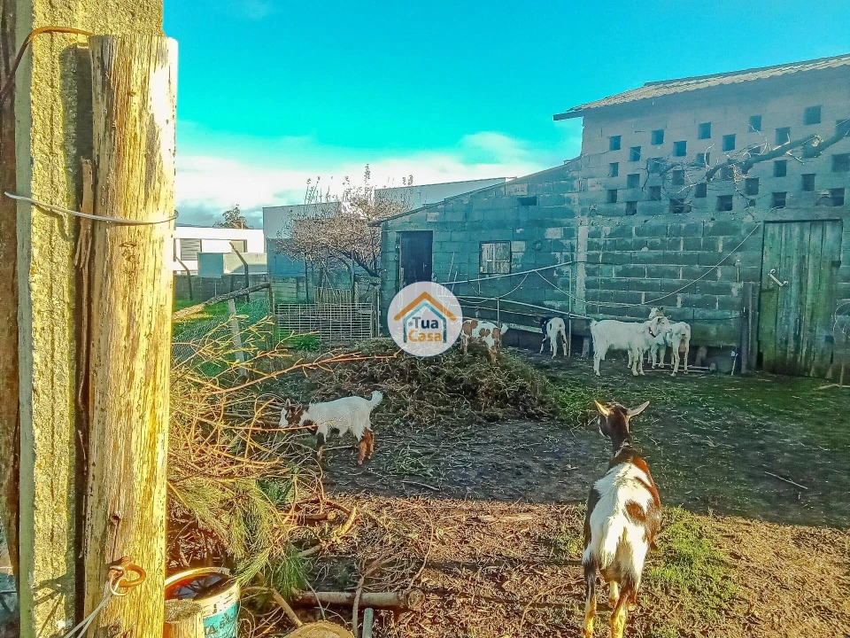 Terreno para Venda em Albergaria-A-Velha e Valmaior Foto 6