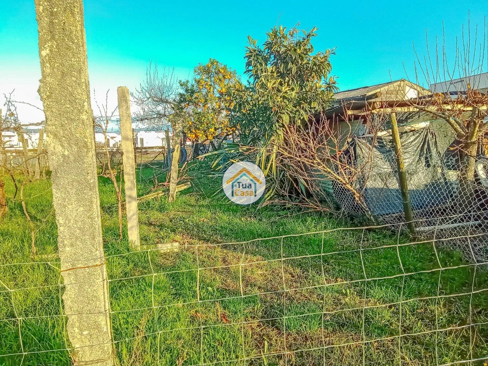 Terreno para Venda em Albergaria-A-Velha e Valmaior Foto 1