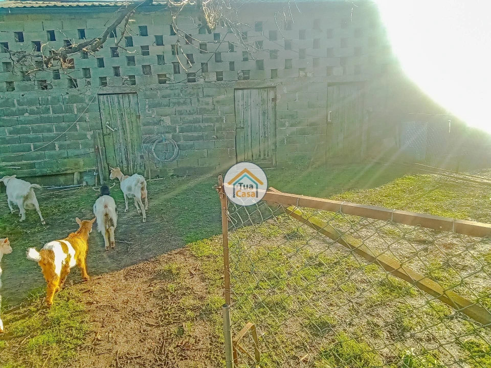Terreno para Venda em Albergaria-A-Velha e Valmaior Foto 16