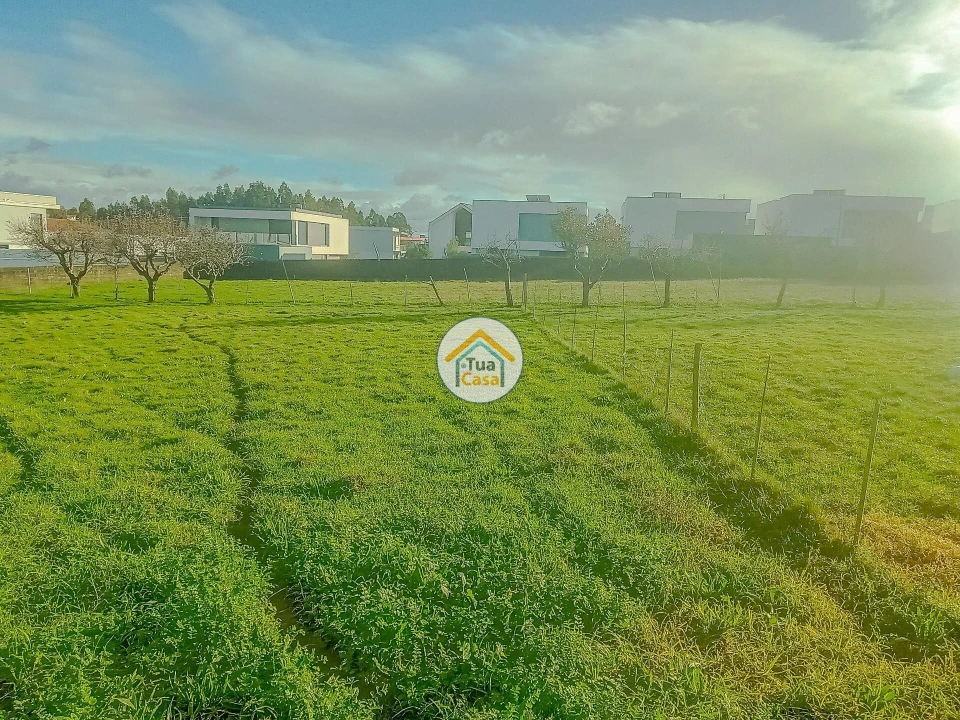 Terreno para Venda em Albergaria-A-Velha e Valmaior Foto 16