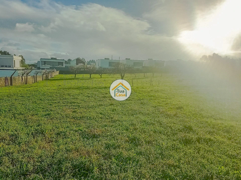 Terreno para Venda em Albergaria-A-Velha e Valmaior Foto 10