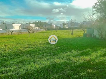 Terreno para Venda em Albergaria-A-Velha e Valmaior