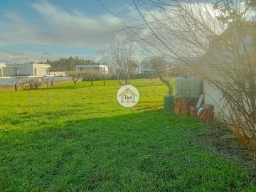 Terreno para Venda em Albergaria-A-Velha e Valmaior