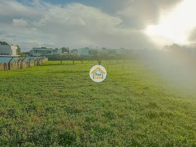 Terreno para Venda em Albergaria-A-Velha e Valmaior Foto 10