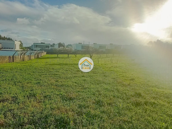 Terreno para Venda em Albergaria-A-Velha e Valmaior Foto 5