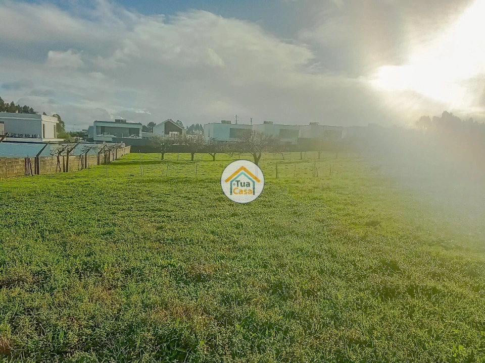 Terreno para Venda em Albergaria-A-Velha e Valmaior Foto 5
