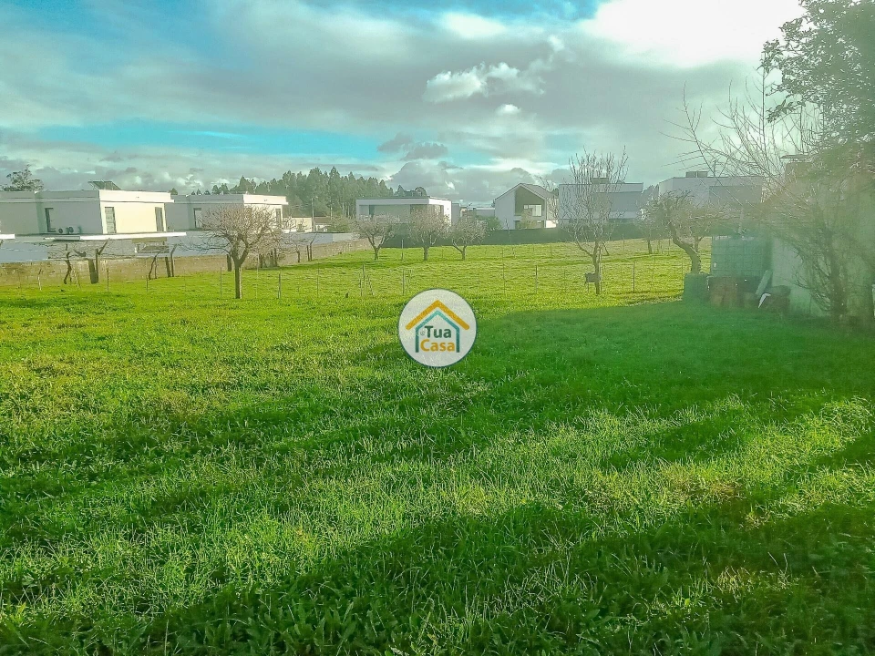 Terreno para Venda em Albergaria-A-Velha e Valmaior Foto 11