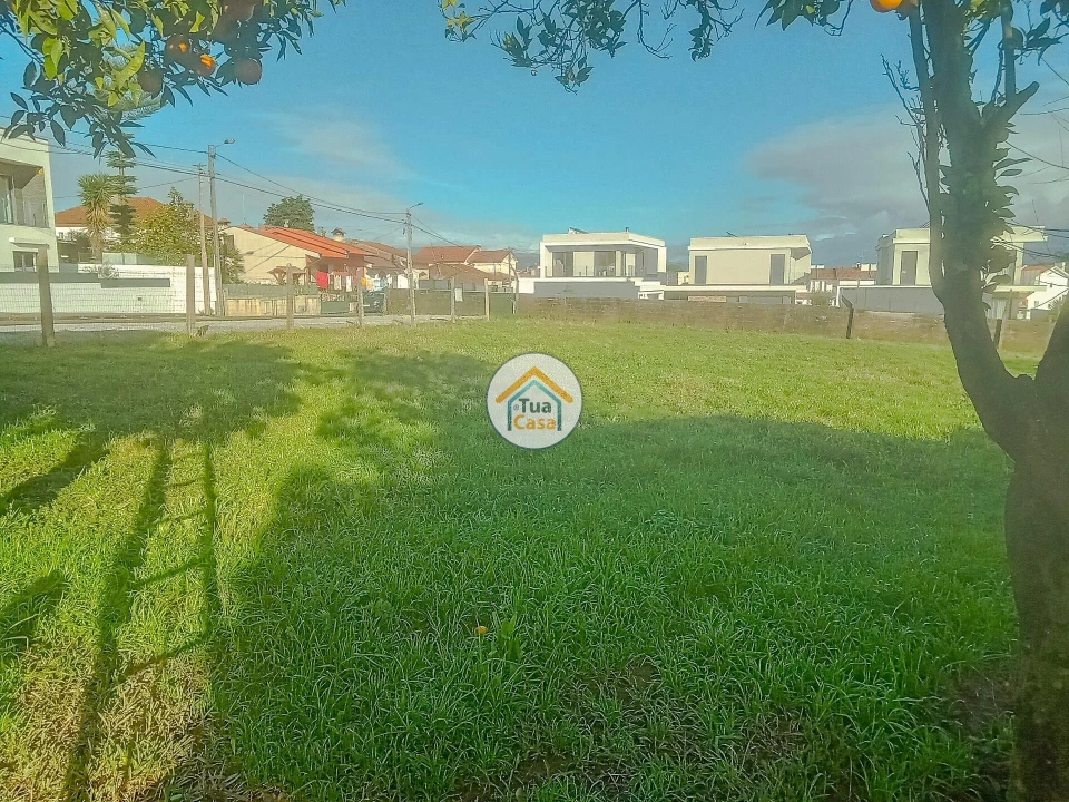 Terreno para Venda em Albergaria-A-Velha e Valmaior Foto 3