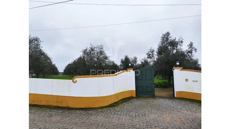 Quinta T2 para Venda em Alcórrego e Maranhão Foto 4