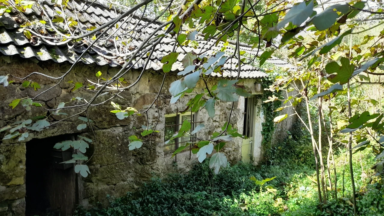 Moradia T1 para Venda em Gondarem Foto 9