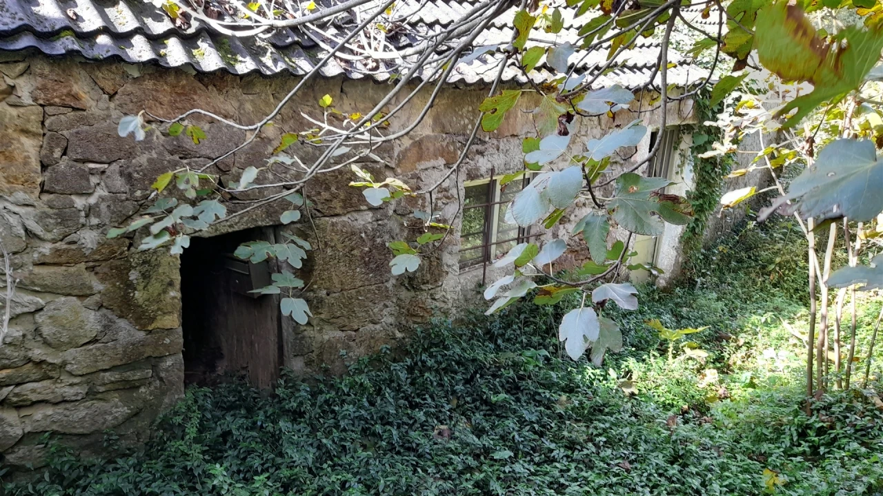 Moradia T1 para Venda em Gondarem Foto 8