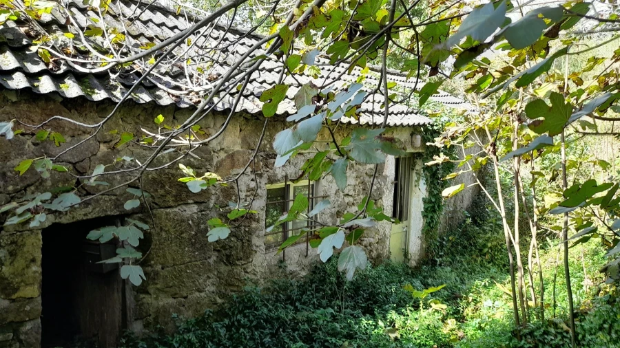 Moradia T1 para Venda em Gondarem Foto 9