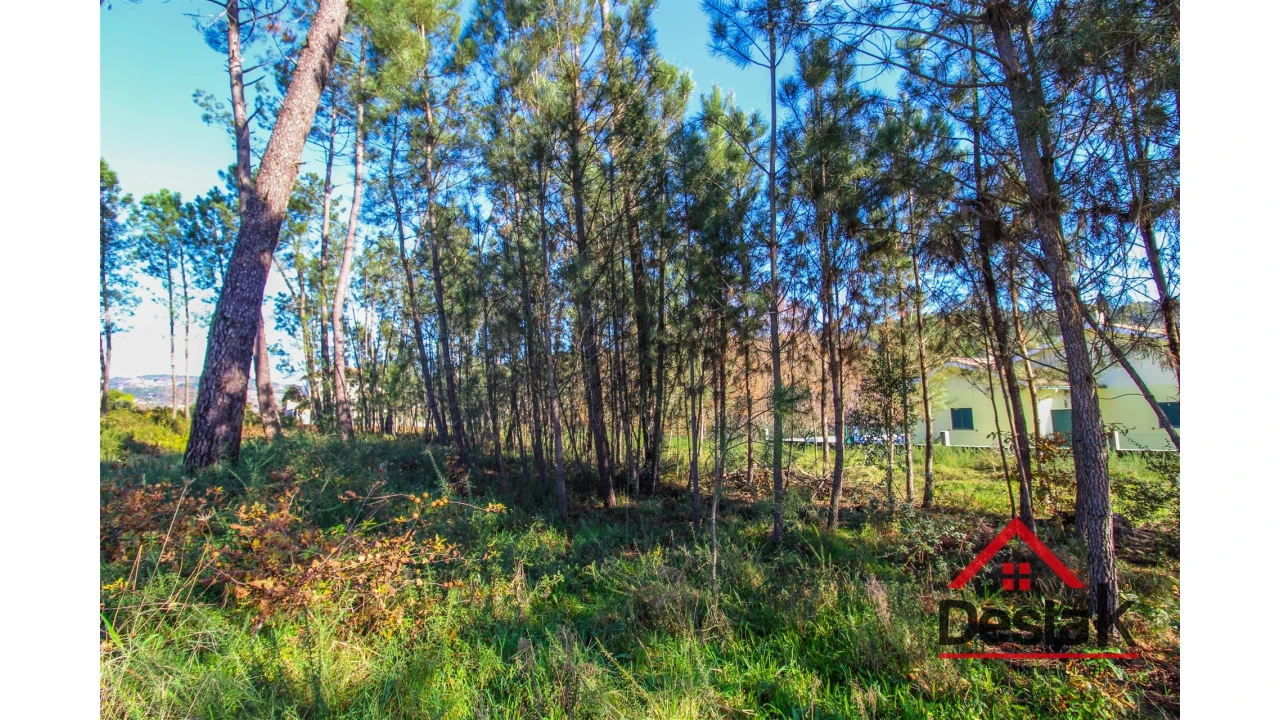 Terreno para Venda em São Pedro do Sul, Várzea e Baiões Foto 7