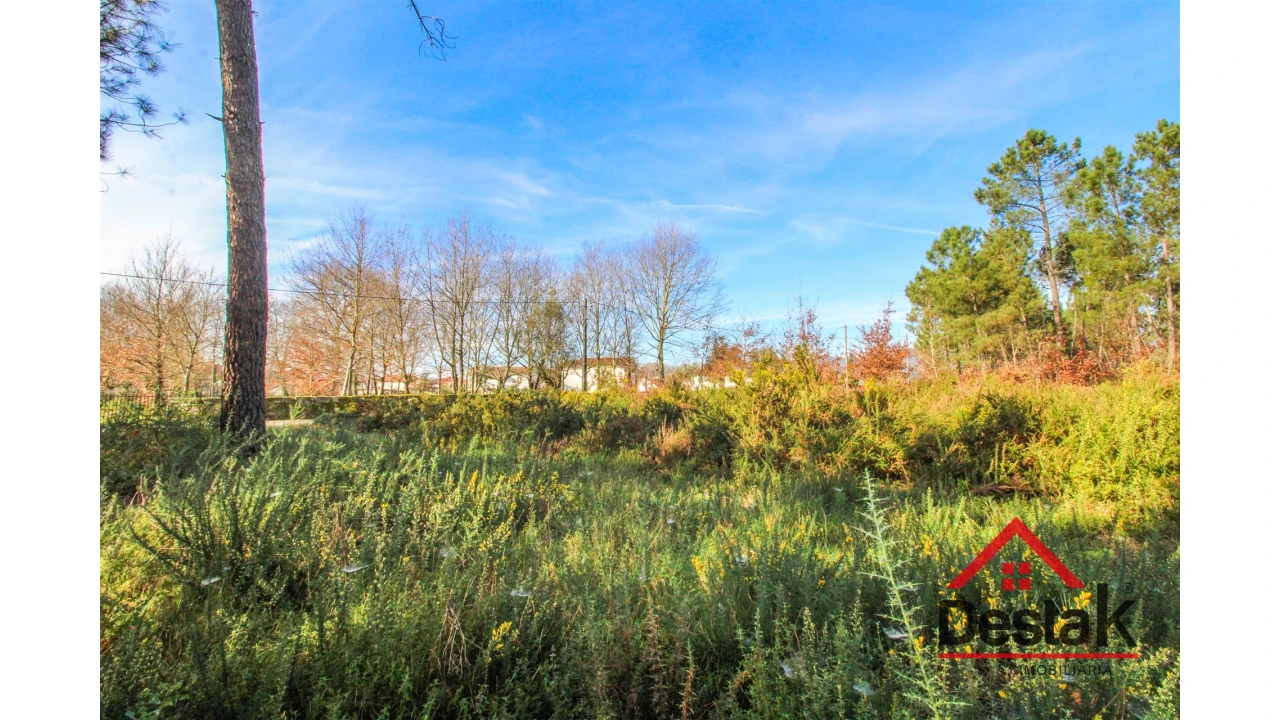 Terreno para Venda em São Pedro do Sul, Várzea e Baiões Foto 6