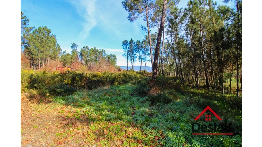 Terreno para Venda em São Pedro do Sul, Várzea e Baiões Foto 1
