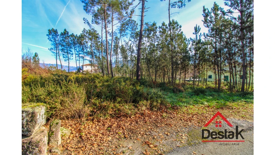 Terreno para Venda em São Pedro do Sul, Várzea e Baiões Foto 3