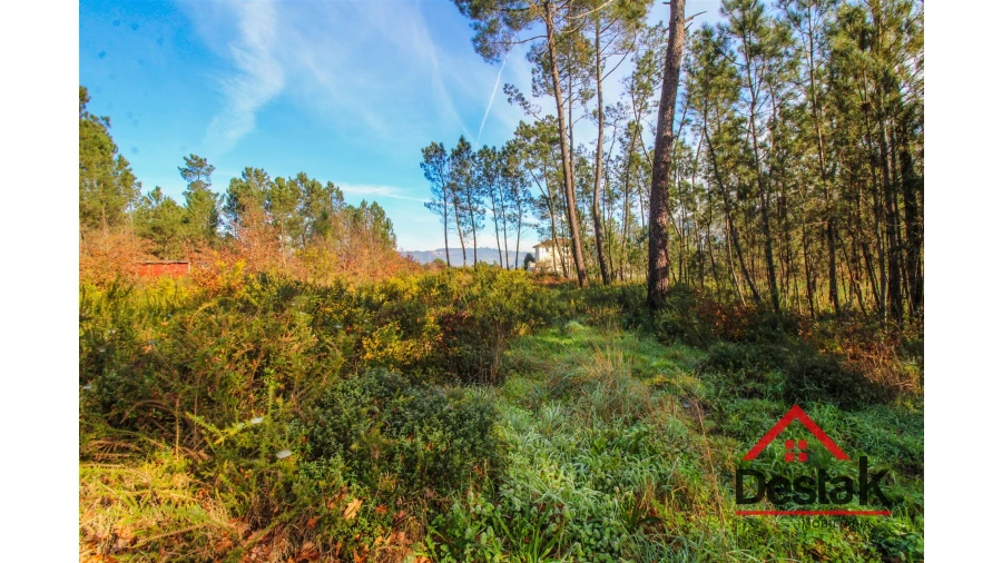 Terreno para Venda em São Pedro do Sul, Várzea e Baiões Foto 2
