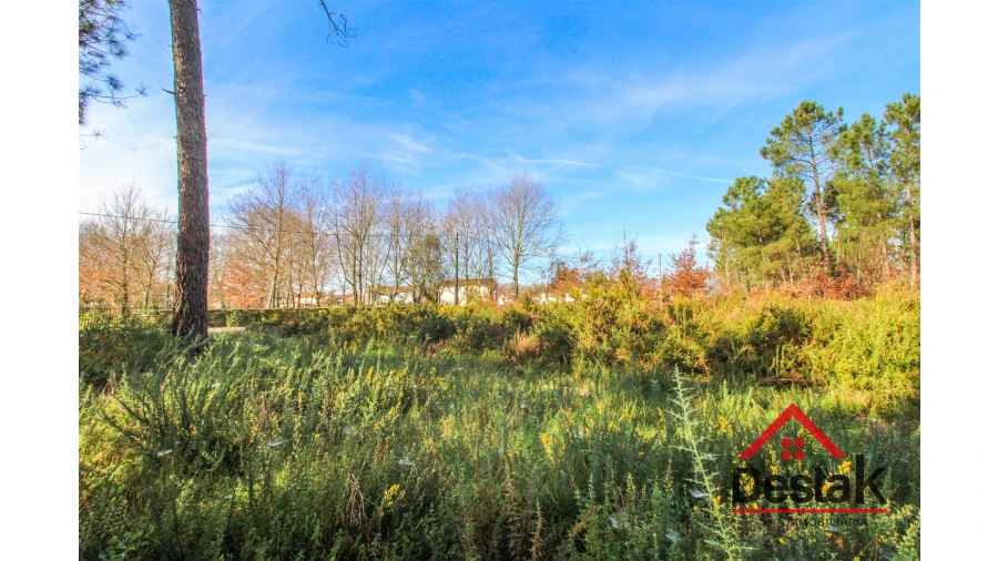 Terreno para Venda em São Pedro do Sul, Várzea e Baiões Foto 6
