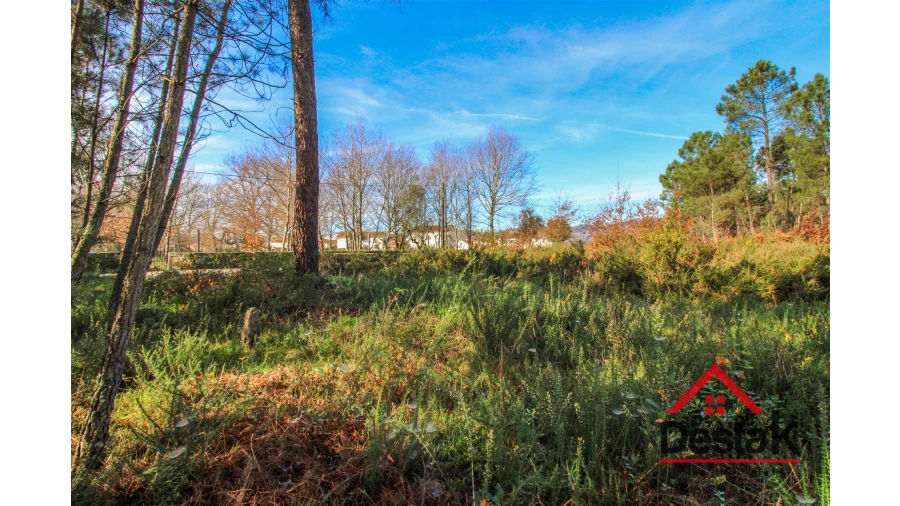 Terreno para Venda em São Pedro do Sul, Várzea e Baiões Foto 5