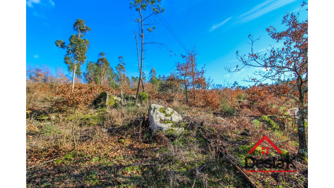 Terreno para Venda em São Pedro do Sul, Várzea e Baiões Foto 7