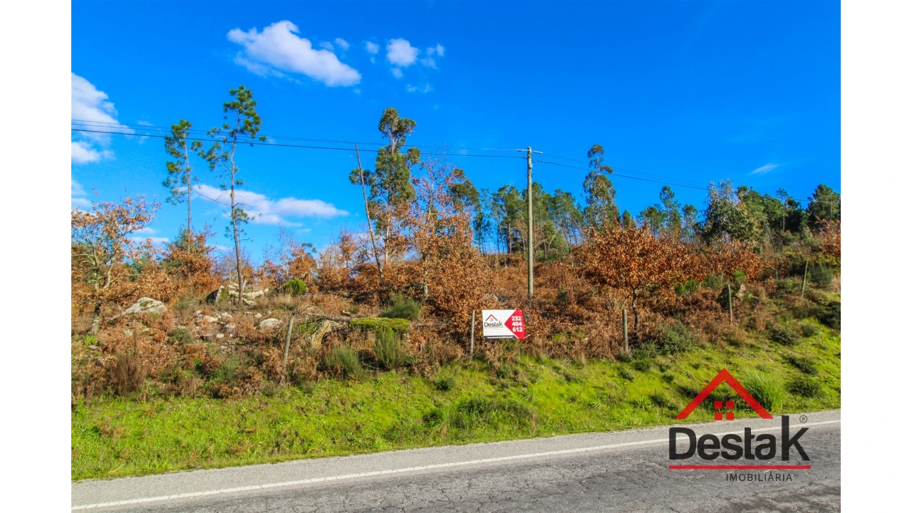 Terreno para Venda em São Pedro do Sul, Várzea e Baiões Foto 5