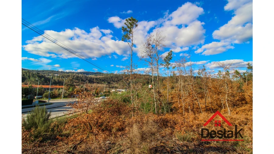 Terreno para Venda em São Pedro do Sul, Várzea e Baiões Foto 9