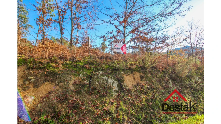 Terreno para Venda em São Pedro do Sul, Várzea e Baiões Foto 12