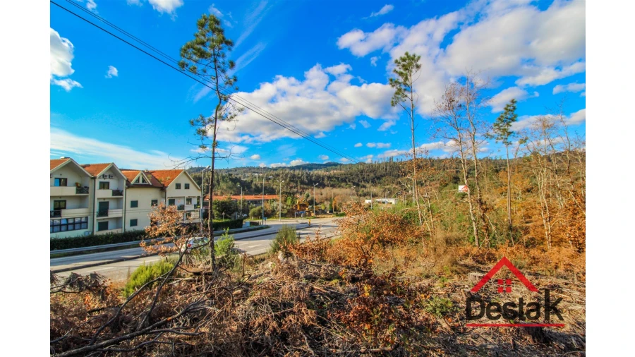 Terreno para Venda em São Pedro do Sul, Várzea e Baiões Foto 10