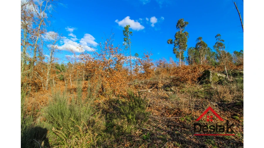 Terreno para Venda em São Pedro do Sul, Várzea e Baiões Foto 8