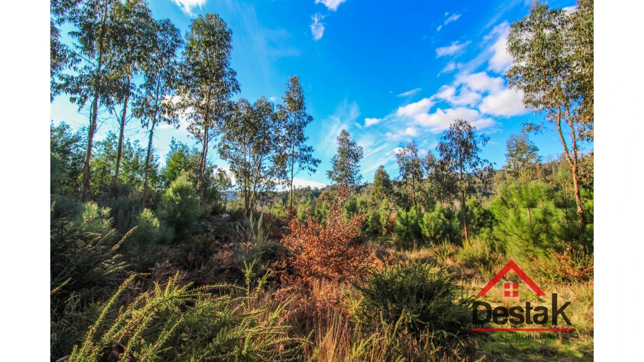 Terreno para Venda em São Pedro do Sul, Várzea e Baiões Foto 13