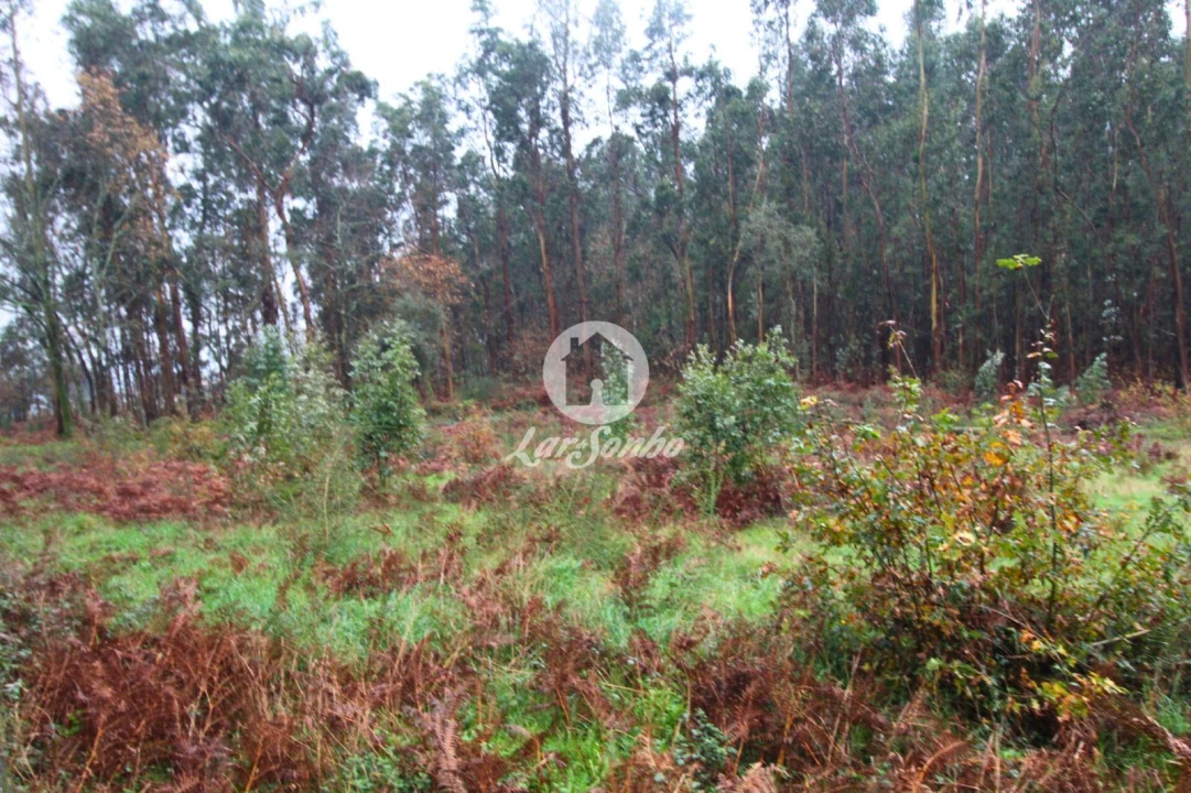 Terreno para Venda em Galegos (Santa Maria) Foto 1