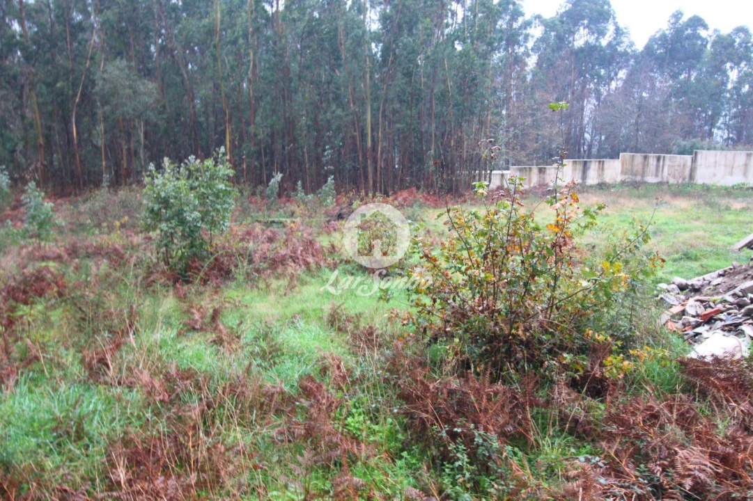 Terreno para Venda em Galegos (Santa Maria) Foto 2