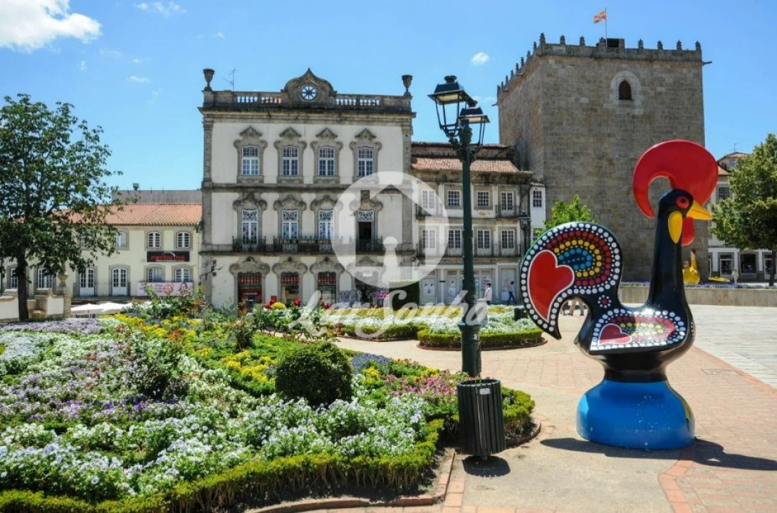 Terreno para Venda em Galegos (Santa Maria) Foto 7