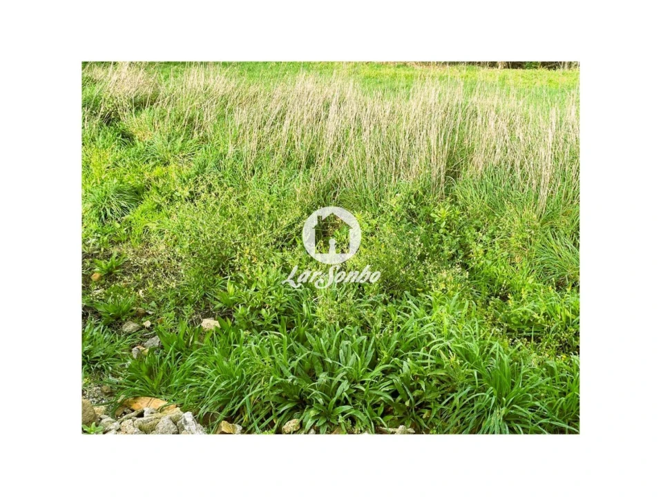 Terreno para Venda em Galegos (Santa Maria) Foto 21