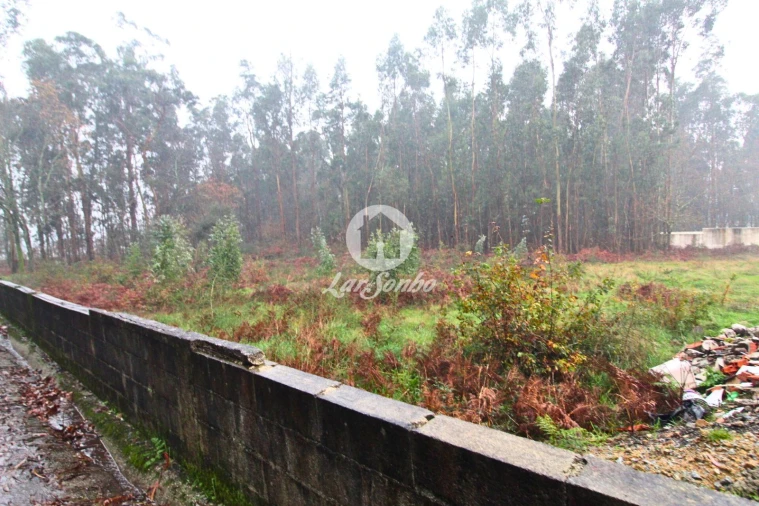 Terreno para Venda em Galegos (Santa Maria) Foto 5