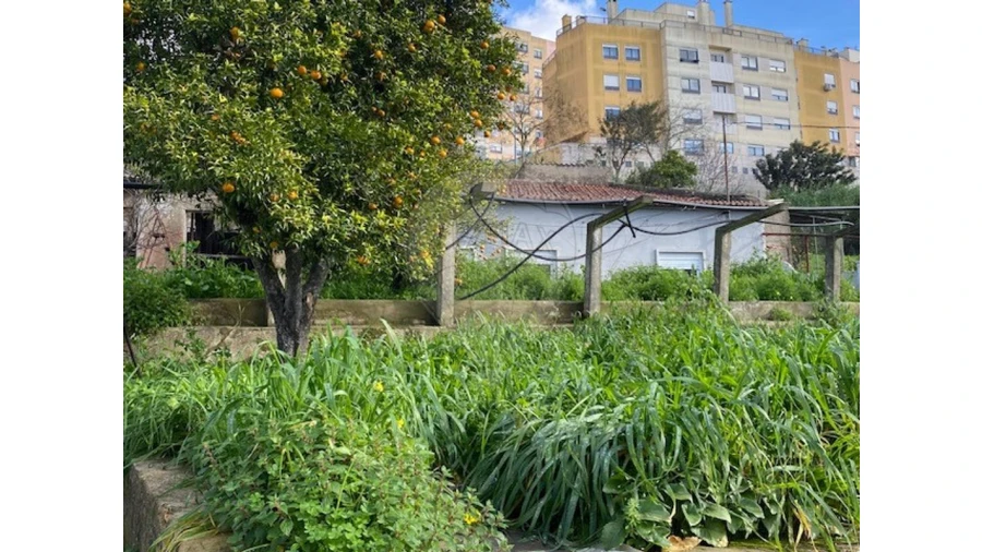 Moradia T6 para Venda em Odivelas Foto 11