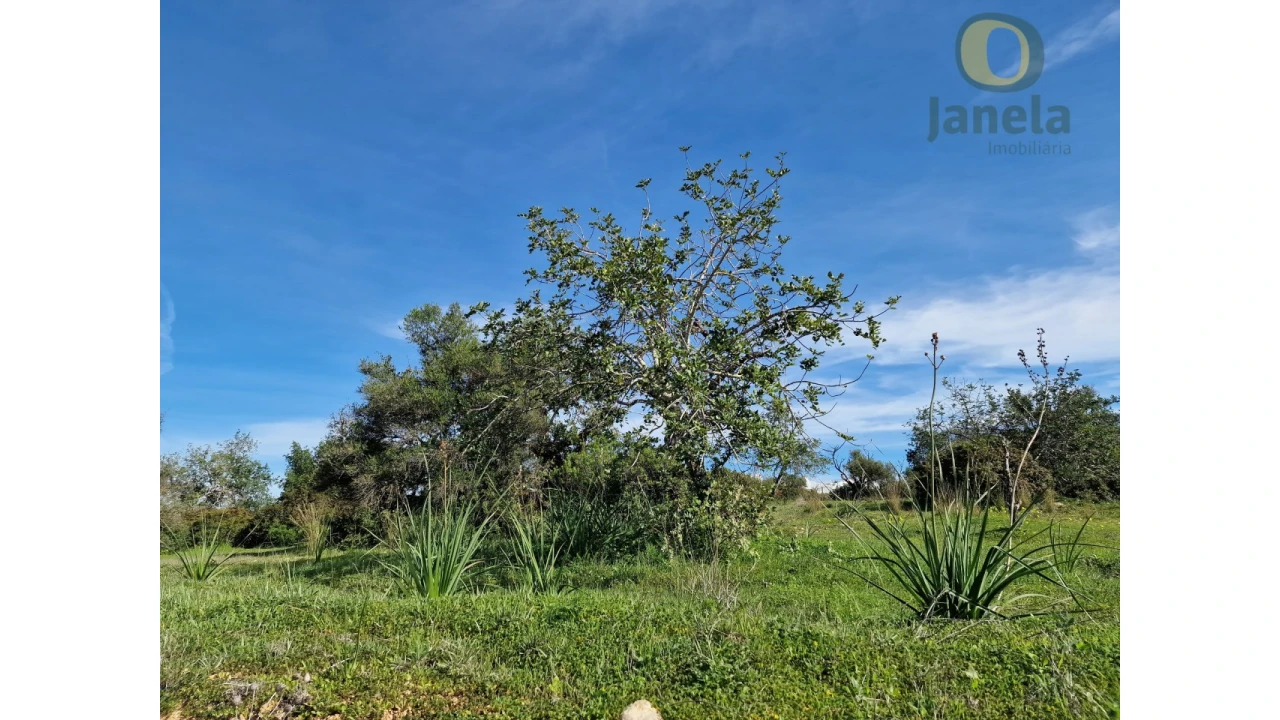 Quinta T4 para Venda em Conceição e Estoi Foto 10