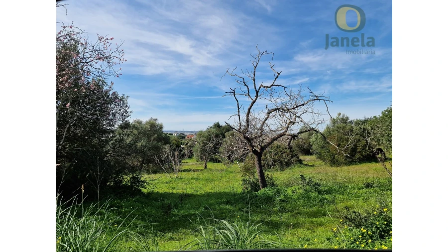 Quinta T4 para Venda em Conceição e Estoi Foto 6