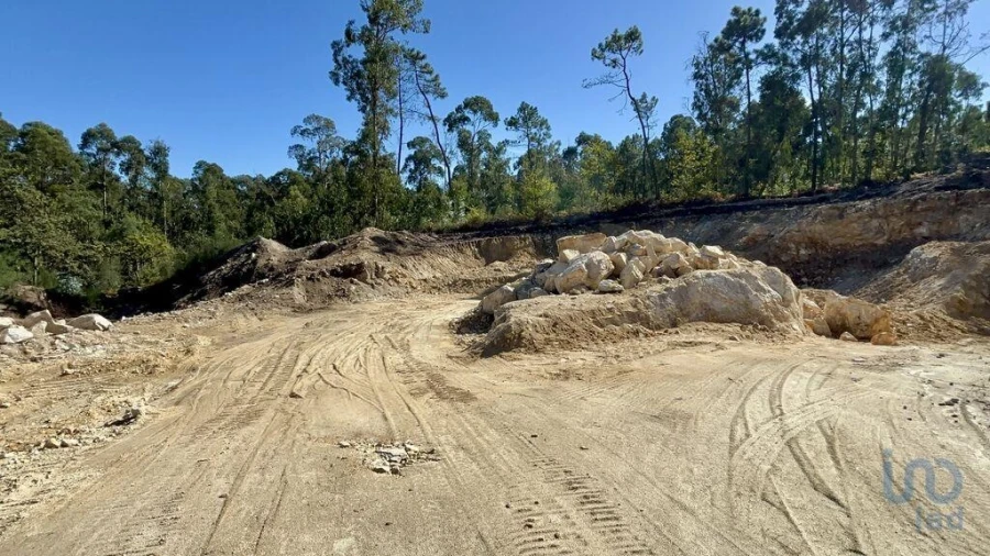 Moradia T3 para Venda em Forjães Foto 6