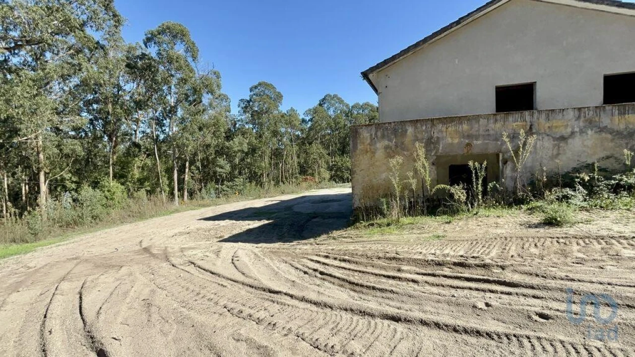 Moradia T3 para Venda em Forjães Foto 4