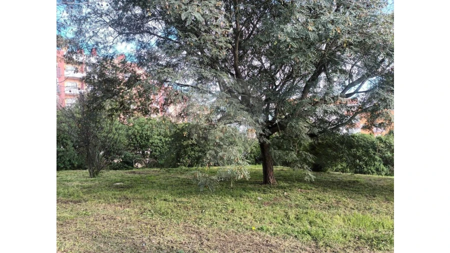 Negócio para Venda em Massamá e Monte Abraão Foto 12