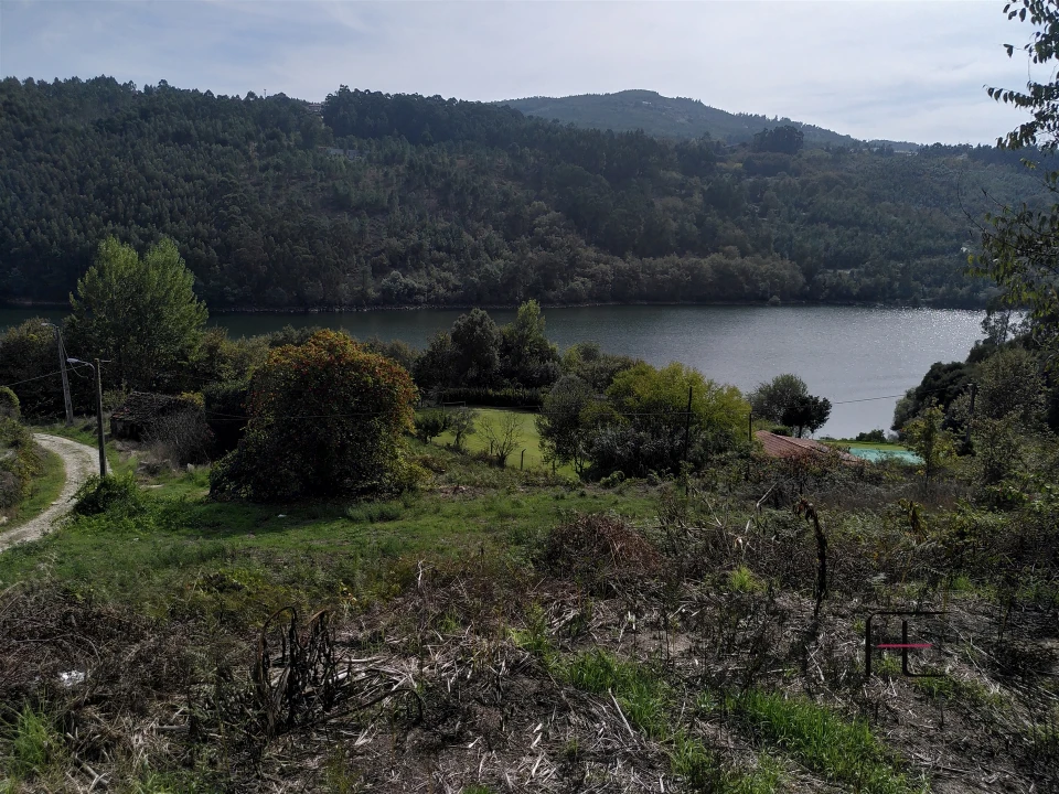 Quinta T7 para Venda em Boelhe Foto 34