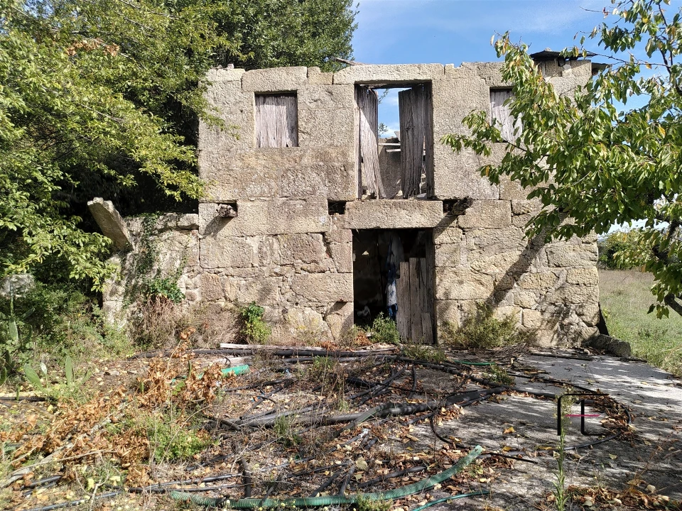 Quinta T7 para Venda em Boelhe Foto 25