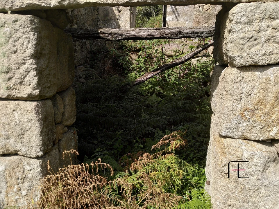 Quinta T7 para Venda em Boelhe Foto 29