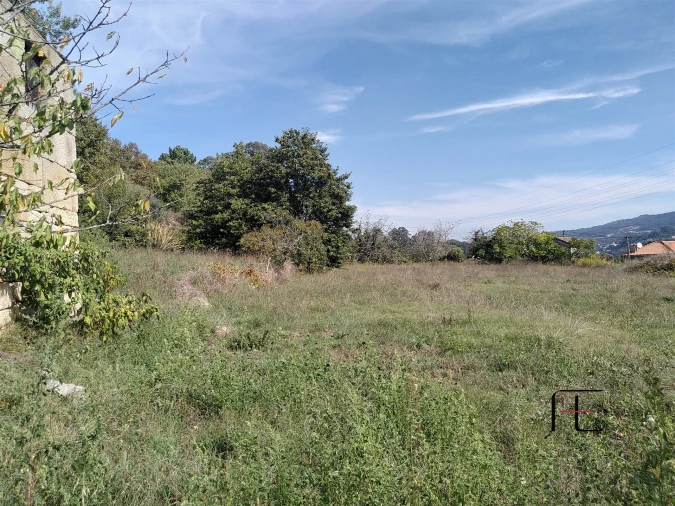 Quinta T7 para Venda em Boelhe Foto 27