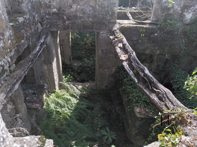 Quinta T7 para Venda em Boelhe Foto 18