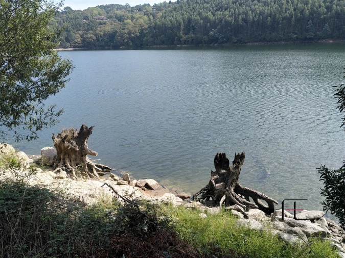 Quinta T7 para Venda em Boelhe Foto 38